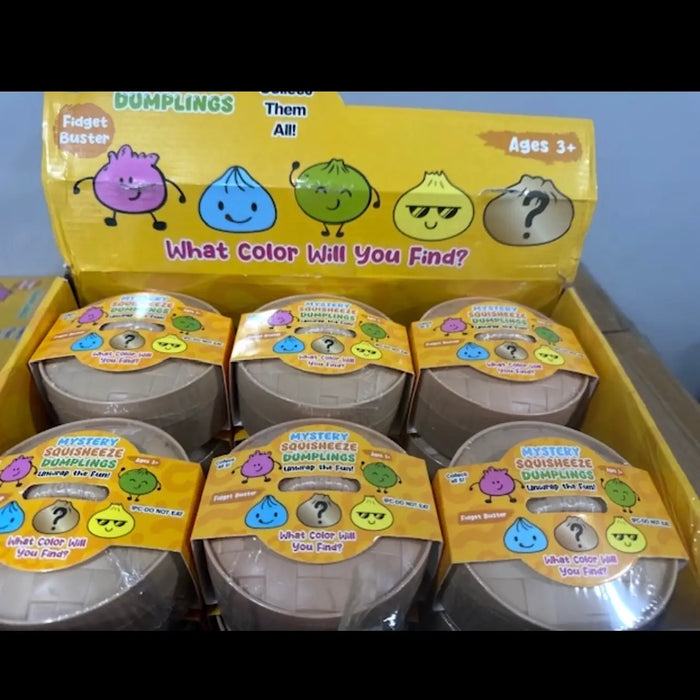 Viral Mystery Dumpling Squishy