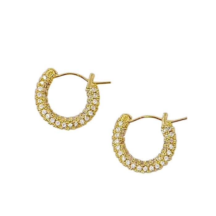 Elegant Shine Hoop Earrings