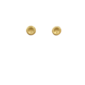 Gold Filled Studs