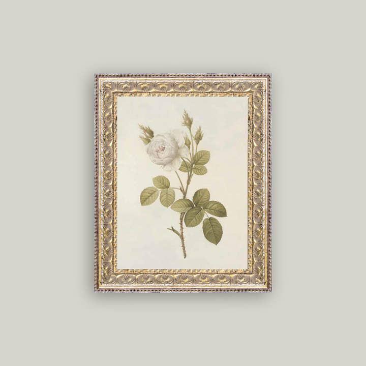 Misty Rose Framed Art 8 x 10