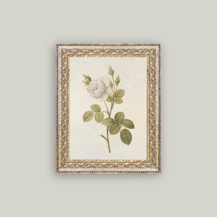 Misty Rose Framed Art 8 x 10