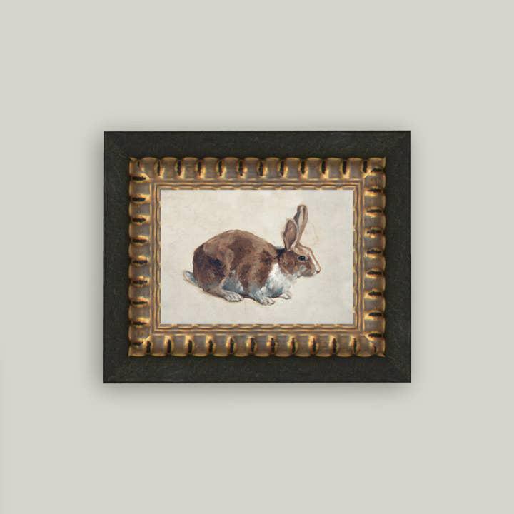 Rabbit Framed Art 5 x 7