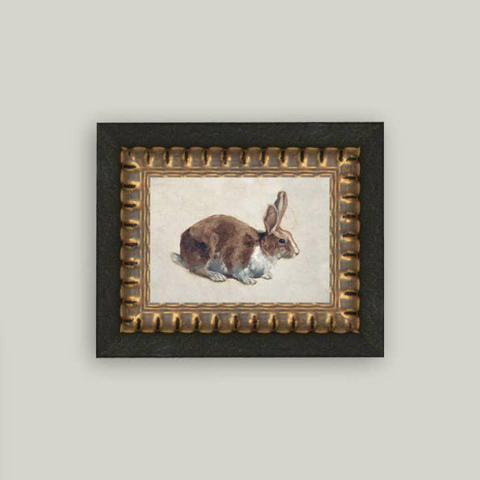 Rabbit Framed Art 5 x 7