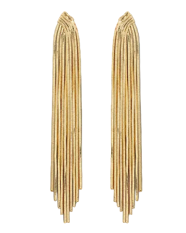 Metal Tassel Earrings