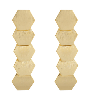 Linear Brushed Hexagon Earrings