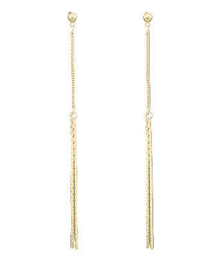 2 Line Drop Earrings
