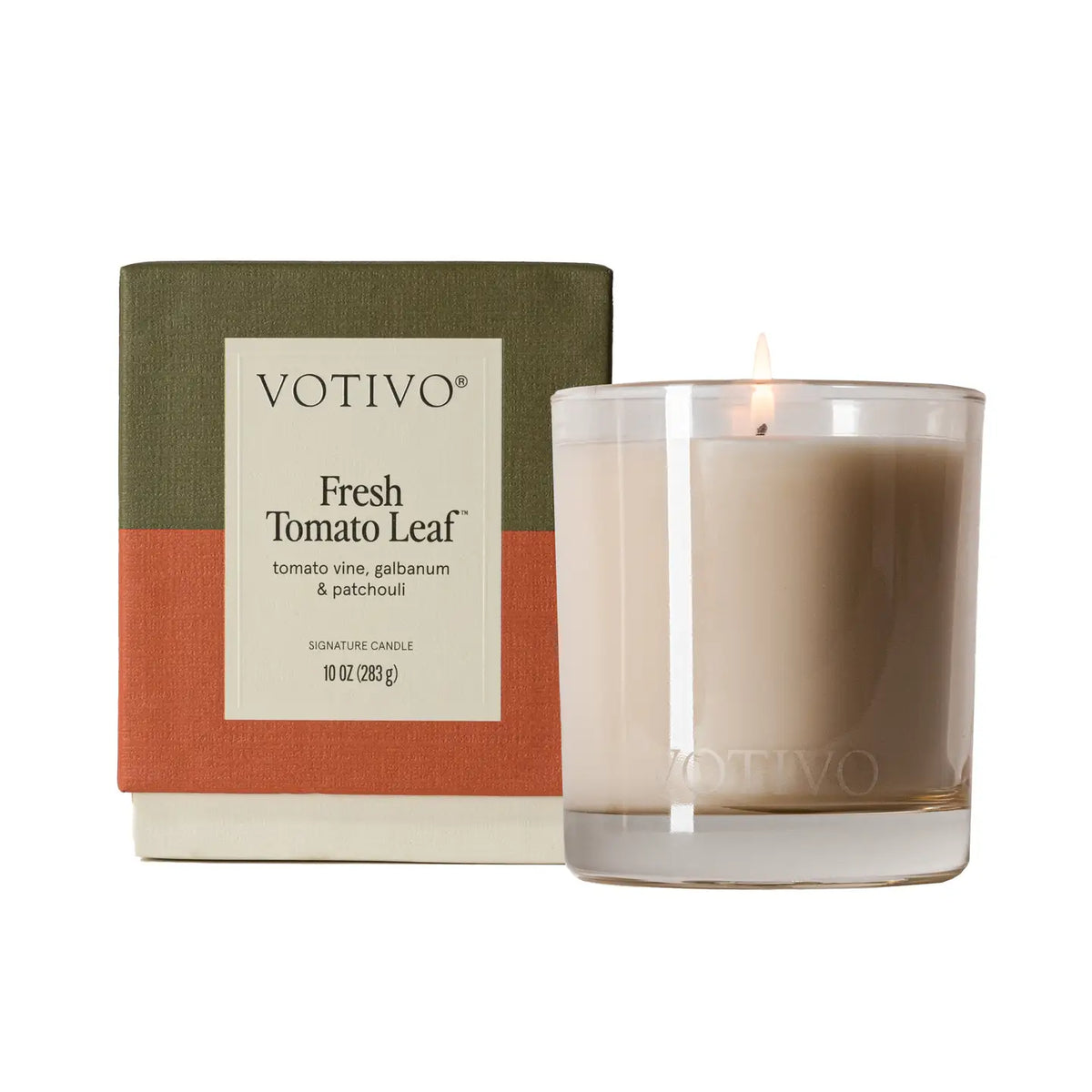 Fresh Tomato Leaf Signature 10 oz Candle