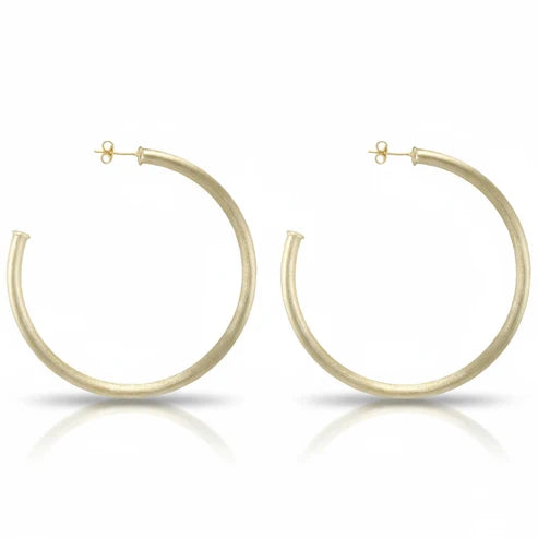 Sheila Fajl: Everybody's Favorite Hoops
