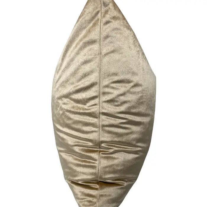 Champagne Luxe Velvet Pillow