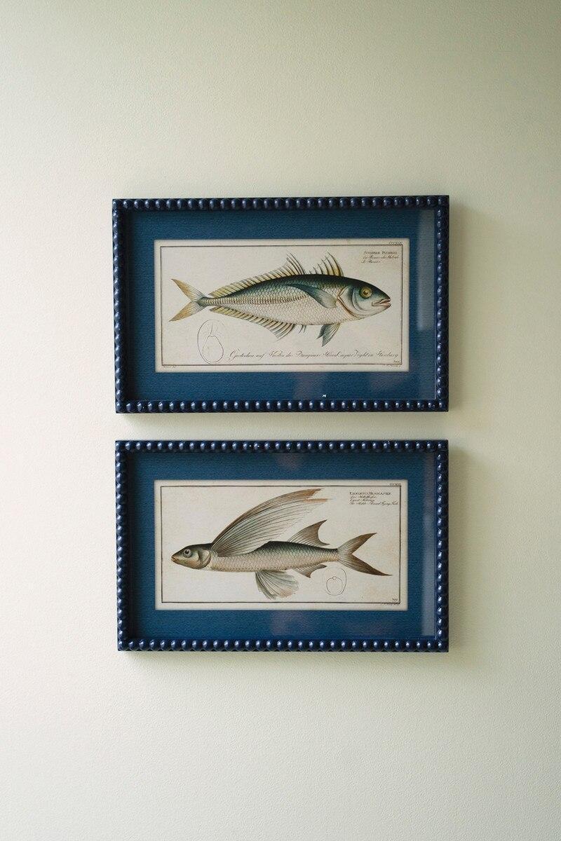 Navy Framed Fish Print